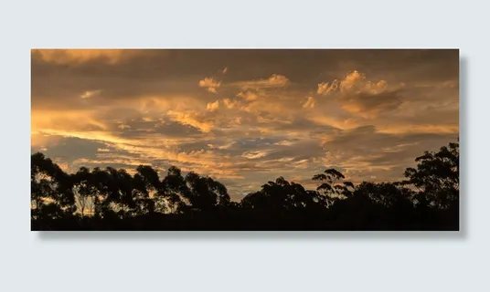 日落，天空，橙色，灰色，云，地平线，树木，澳大利亚