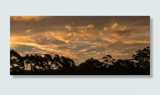 日落，天空，橙色，灰色，云，地平线，树木，澳大利亚