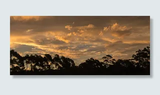 日落，天空，橙色，灰色，云，地平线，树木，澳大利亚