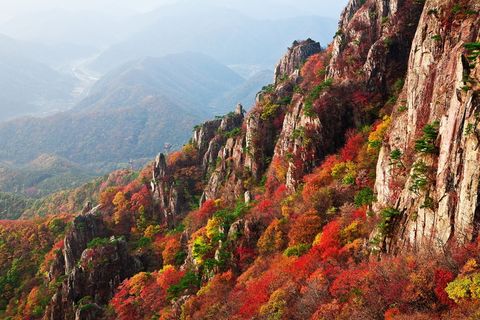 花色树叶树山，白天，山，秋叶，秋天，风景，树叶，树叶