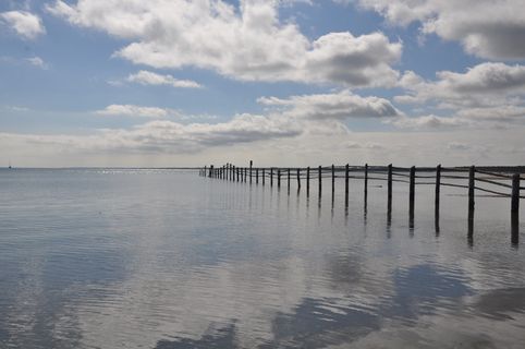 波罗的海,海,海岸,海,海岸,码头,自然,码头,海滩 波罗的海,海,海岸,海,海岸,码头,自然,码头,海滩