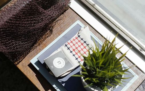 绿色，叶子，植物，白色，花盆，桌子，袜子，植物