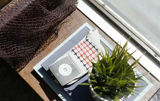 绿色，叶子，植物，白色，花盆，桌子，袜子，植物