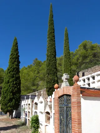 墓地，柏树，壁龛，超越，柏树壁龛，符号，夏天，白色