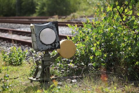 信号箱，破旧，火车站，荒野，自然，野生，似乎，植物