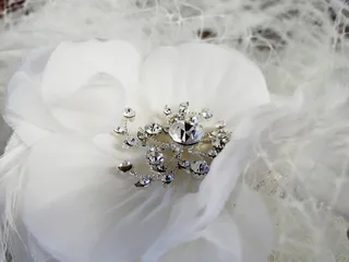 珠宝银色配饰, 首饰, 装饰, 婚礼, 结婚, 邀请函, 地图