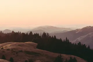 雾，日落，丘陵，山。谭, 金色, 树木, 天空, 风景 - 自然