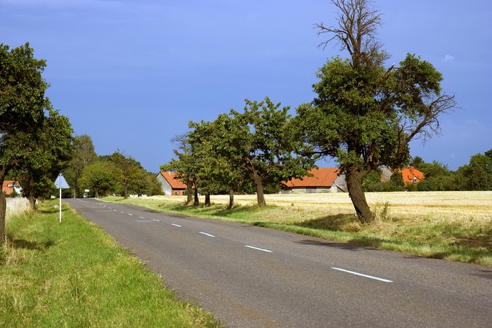 乡村、景观、道路、道路、风景、风景、乡村、平坦