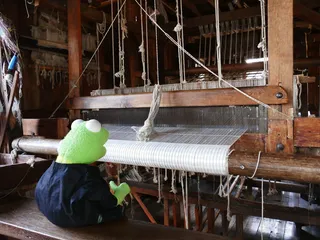 织机，编织，线，工艺，手工，克米特，青蛙，编织