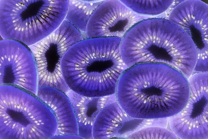 紫色的花