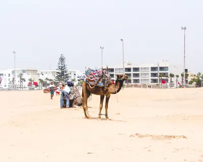 摩洛哥，埃萨乌拉，旅游，旅游，度假，水，度假，人