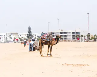 摩洛哥，埃萨乌拉，旅游，旅游，度假，水，度假，人