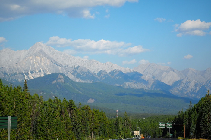 风景，绿色森林，山脉，落矶山脉，蓝天，班夫国家公园，景观，山脉