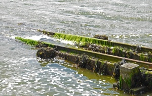 旧滑道、未使用、海藻、海浪、大海、波罗的海、分批运行、混凝土基础