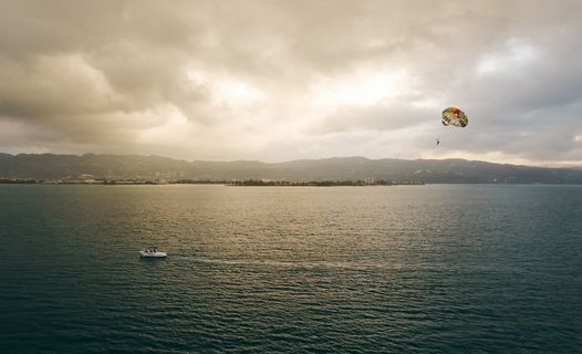 牙买加、奥乔·里奥斯、咖啡、蓝山、探险、旅游、旅游频道、hgtv