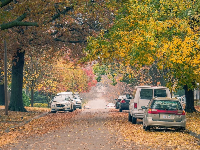 几个，汽车，道路，树木，自然，车辆，干燥的树叶