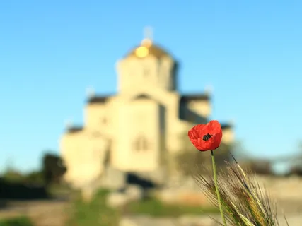 mack、flower、hotspot、nature、sun、macro、bokeh、hersonissos