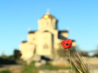 mack、flower、hotspot、nature、sun、macro、bokeh、hersonissos