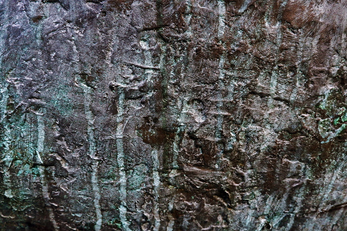 岩石、户外、自然、纹理、植物、树木、悬崖、冰