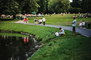 公园里阳光明媚的一天