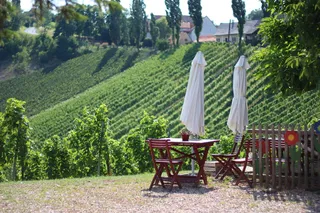 奥地利葡萄酒路，南施蒂里亚，休息，暑假，葡萄园，桌椅，阳伞