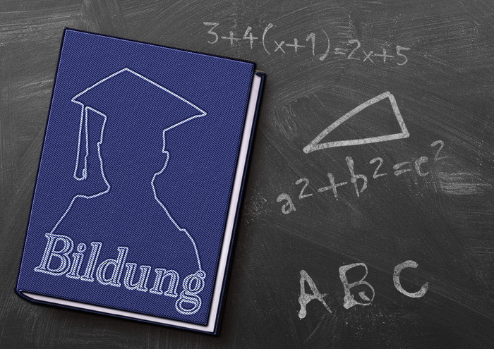 书籍、教育、董事会、书籍封面、标题、纸张、学校、封面和封底