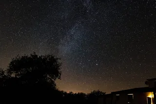 夜空中繁星点点的树影