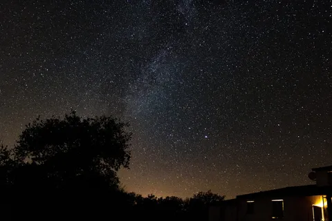 夜空中繁星点点的树影 夜空中繁星点点的树影