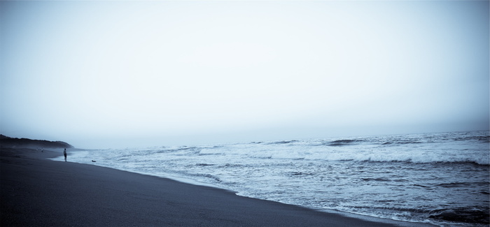 浅层、聚焦摄影、身体、水、鱼眼、镜头、摄影、海滨
