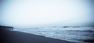 浅层、聚焦摄影、身体、水、鱼眼、镜头、摄影、海滨