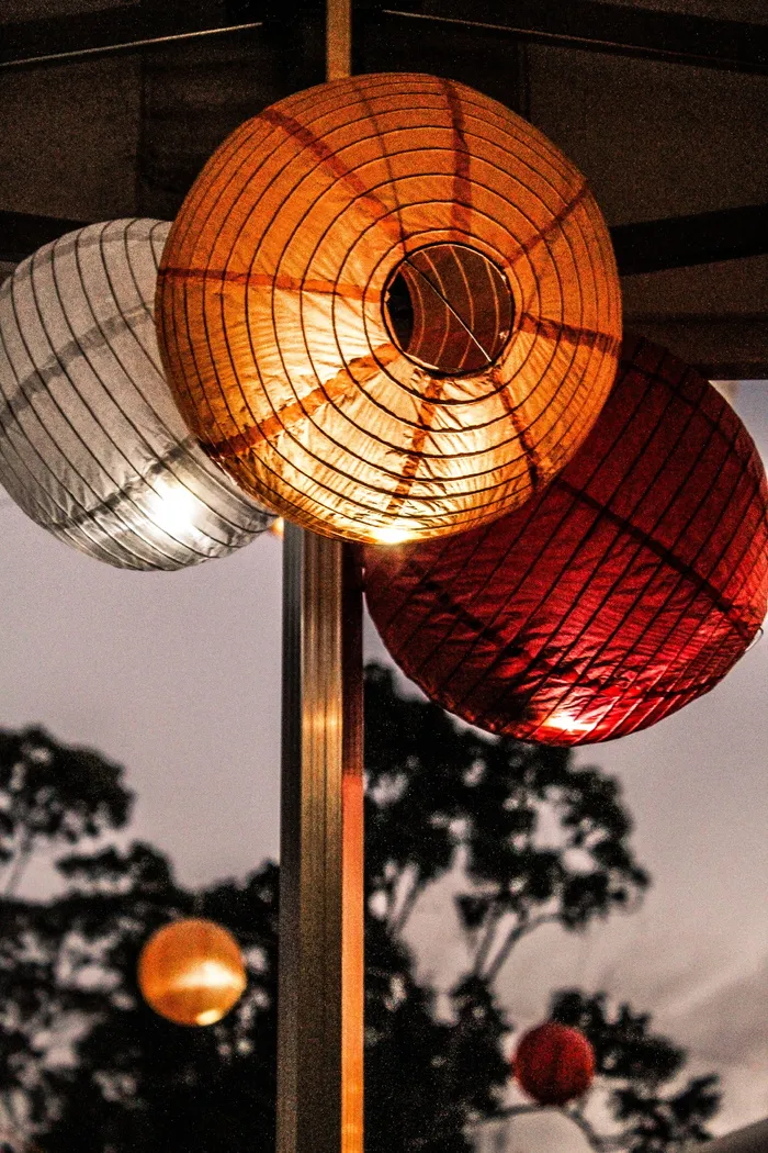 灯光、派对、夜晚、庆典、装饰、后院、装饰、花园