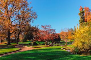 意大利都灵大都会，都灵，秋天，公园，魔术，树木，色彩