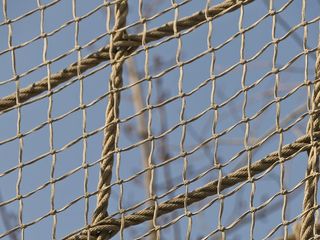 网络，结，联网，树篱，网格工厂，联网，连接，网格