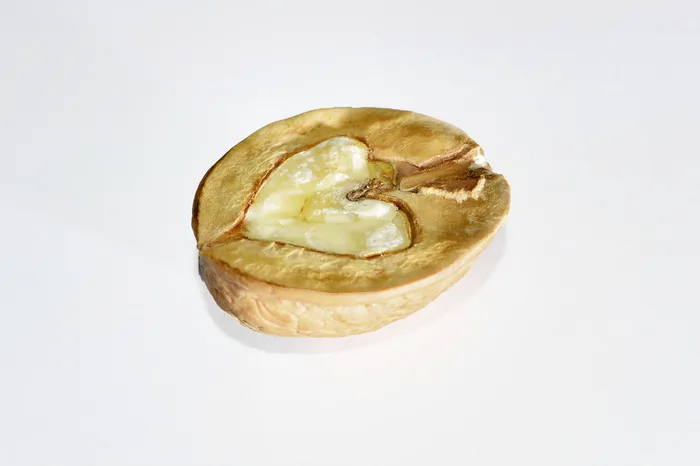 坚果，核桃，坚果，果盘，棕色，食物，贝壳，封闭