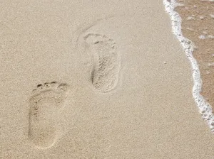 脚印，棕色，沙子特写摄影，白天，痕迹，沙子，大海，痕迹