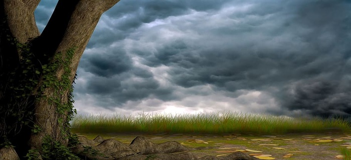 绿色，草，树干，数码，墙纸，树木，天空，自然