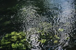 河流，水，水流，自然，反射，潮湿，水面，液体