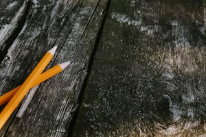 木头上的小花、铅笔和其他东西