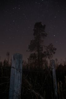 美国卡普兰35mm 1.4西格玛艺术西格玛35mm博凯35mm尼康