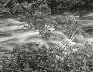 水、自然、河流、户外、植物、植被、土地、河流