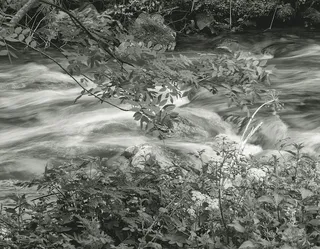 水、自然、河流、户外、植物、植被、土地、河流