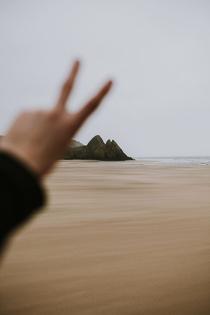 人，展示，左手，手，海，海，沙，旅行