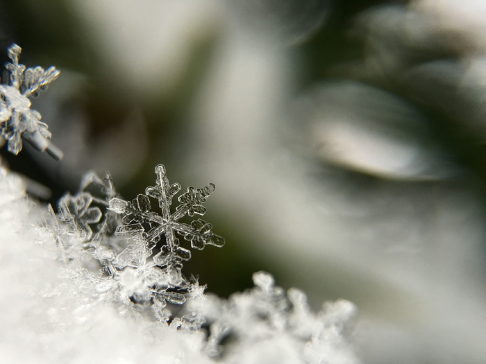 雪花、宏、霜、冻结、水晶、雪、冰、白色