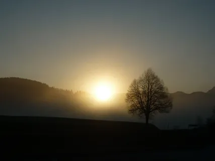 阳光, 日落, 阴影, abendstimmung, 气氛, 黄昏, 太阳, 心情 阳光, 日落, 阴影, abendstimmung, 气氛, 黄昏, 太阳, 心情
