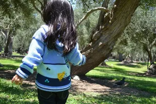 孩子，童年，人类，家庭，未来，自然，父母，为人父母