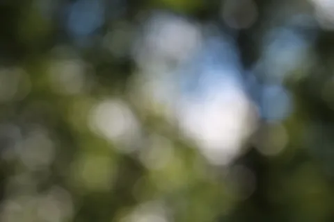 白色波基光,波基,模糊,背景图像,绿色,斑点,颜色,图案 白色波基光,波基,模糊,背景图像,绿色,斑点,颜色,图案