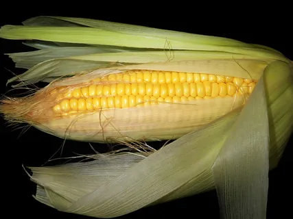 玉米、甜味、蔬菜、健康、烹饪、玉米棒、食品和饮料、特写 玉米、甜味、蔬菜、健康、烹饪、玉米棒、食品和饮料、特写