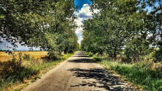 小径，小巷，绿色，树木，自然，树，草，夏天