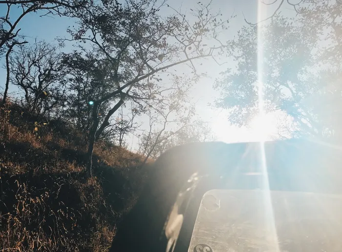 印度、kumbhalgarh、nature、flare、lens、forest、travel、explore
