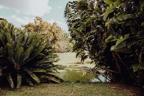 葡萄牙里斯本贝伦热带植物园 葡萄牙里斯本贝伦热带植物园